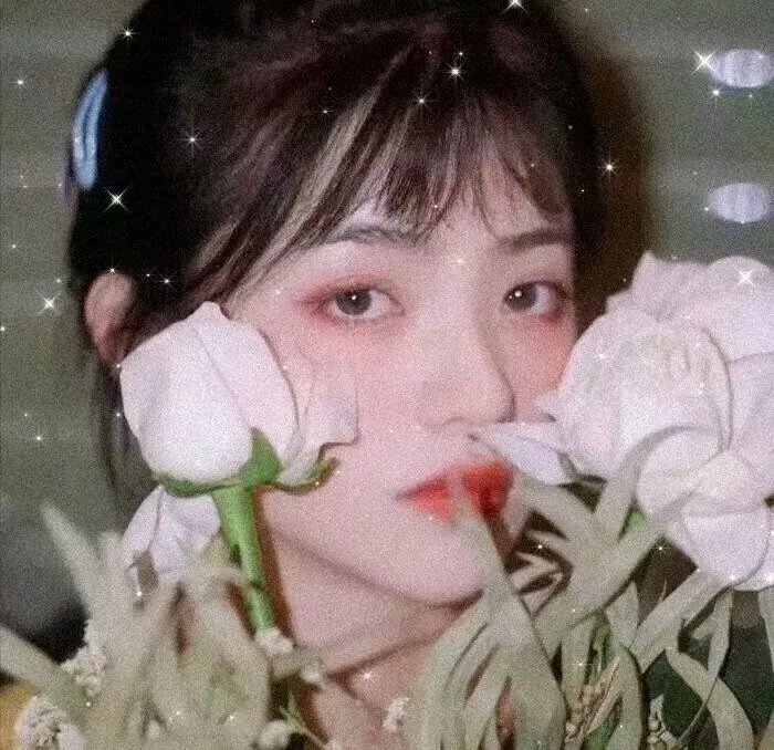 寻找贾克